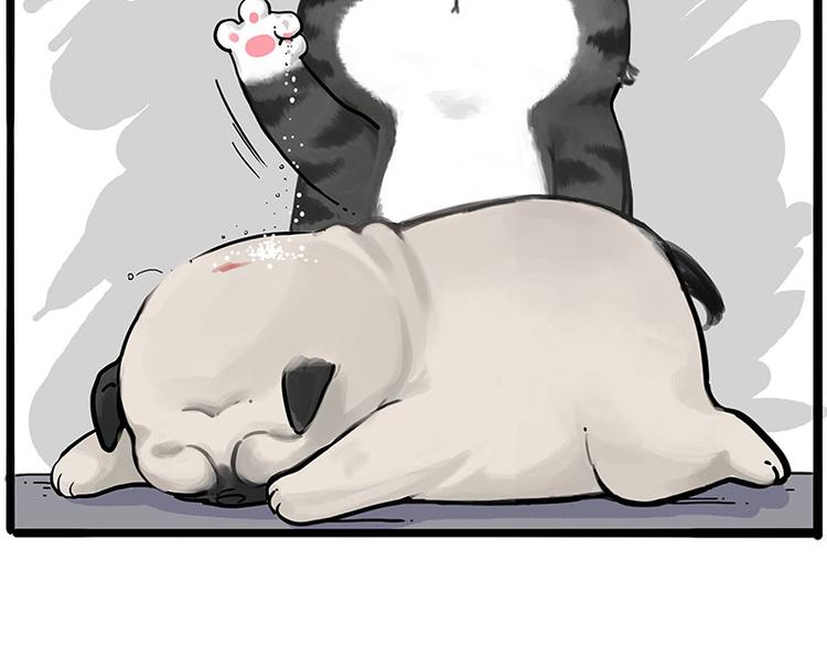 🍘吾皇巴扎黑 第228话 想摸我？ 第14页