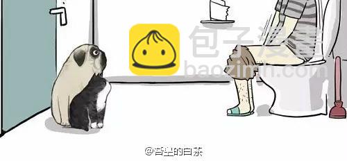 🍘吾皇巴扎黑 第24话 为什么上厕所要偷看 第19页
