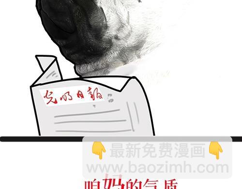 🍘吾皇巴扎黑 第24话 为什么上厕所要偷看 第21页
