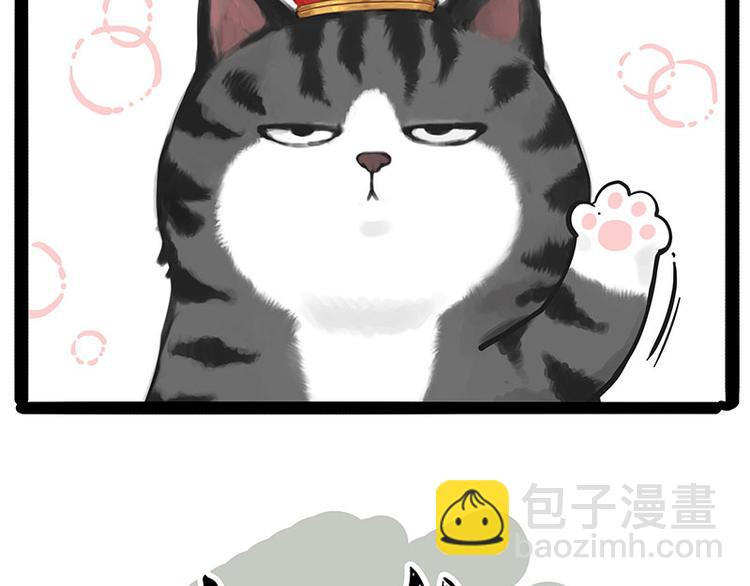 🍘吾皇巴扎黑 第232话 我退出这个家 第14页