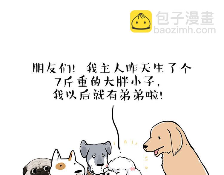 🍘吾皇巴扎黑 第232话 我退出这个家 第17页