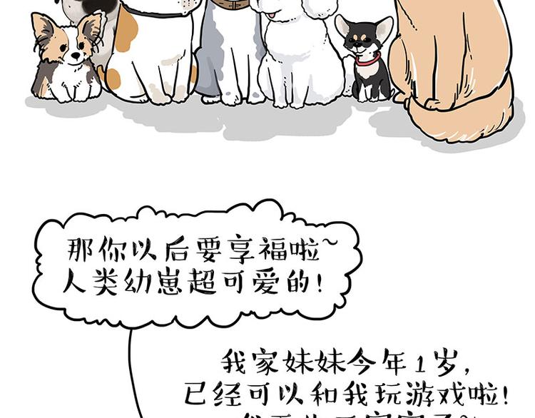 🍘吾皇巴扎黑 第232话 我退出这个家 第18页