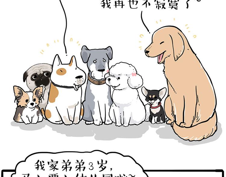 🍘吾皇巴扎黑 第232话 我退出这个家 第19页