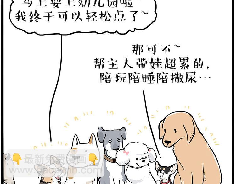 🍘吾皇巴扎黑 第232话 我退出这个家 第20页