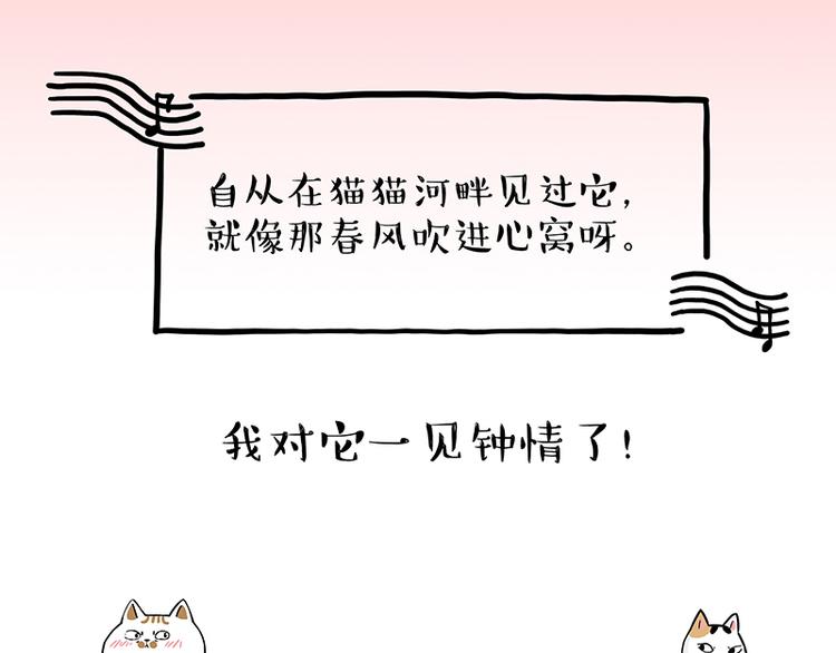 🍘吾皇巴扎黑 第238话 吾皇的爱情“喵”招 第10页