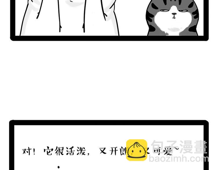 🍘吾皇巴扎黑 第238话 吾皇的爱情“喵”招 第13页