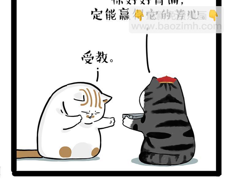 🍘吾皇巴扎黑 第238话 吾皇的爱情“喵”招 第21页