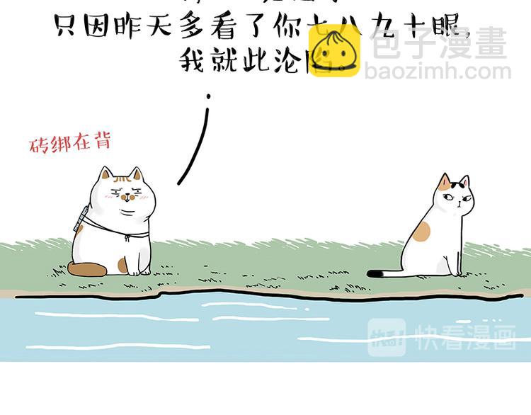 🍘吾皇巴扎黑 第238话 吾皇的爱情“喵”招 第23页