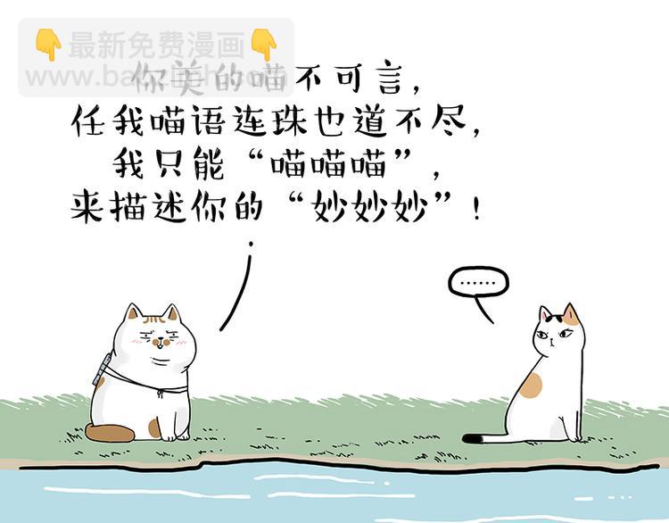 🍘吾皇巴扎黑 第238话 吾皇的爱情“喵”招 第24页