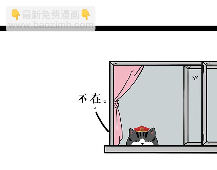 🍘吾皇巴扎黑 第238话 吾皇的爱情“喵”招 第3页