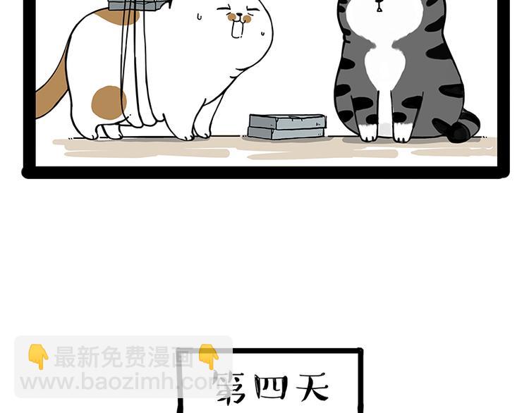 🍘吾皇巴扎黑 第238话 吾皇的爱情“喵”招 第49页