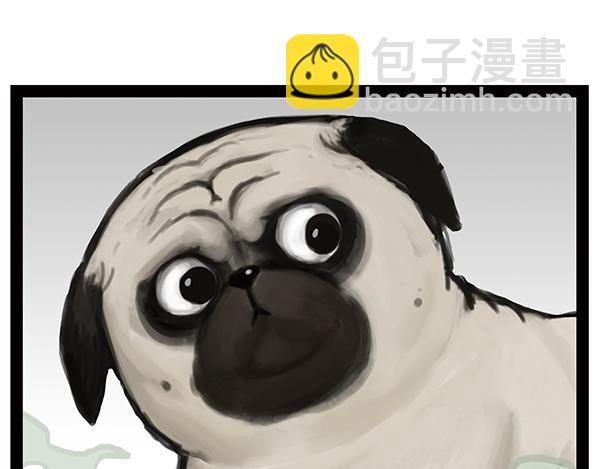 🍘吾皇巴扎黑 第240话 放屁第一名 第13页