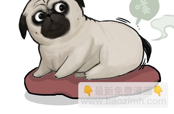 🍘吾皇巴扎黑 第240话 放屁第一名 第16页