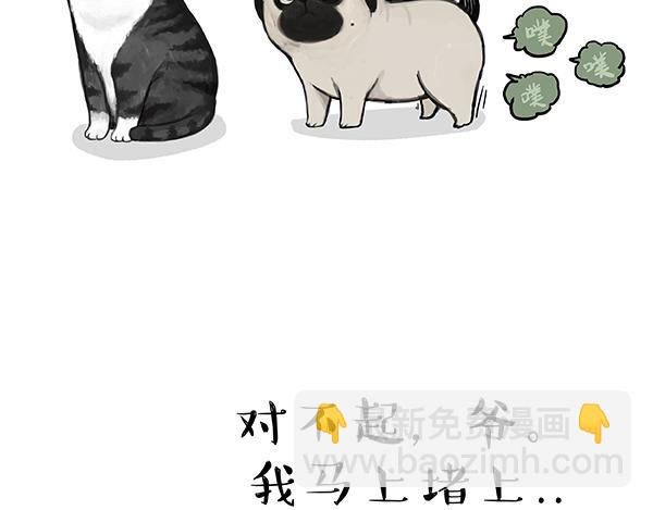 🍘吾皇巴扎黑 第240话 放屁第一名 第20页