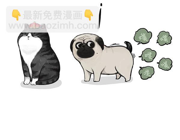 🍘吾皇巴扎黑 第240话 放屁第一名 第21页