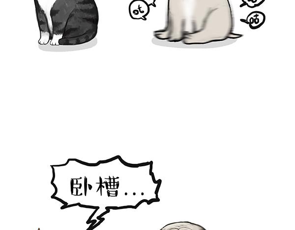 🍘吾皇巴扎黑 第240话 放屁第一名 第26页