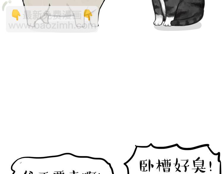🍘吾皇巴扎黑 第240话 放屁第一名 第48页
