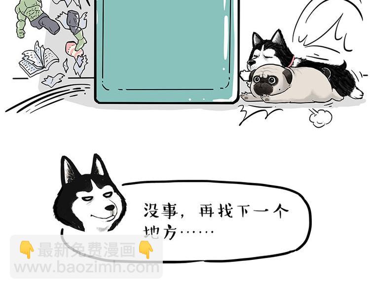 🍘吾皇巴扎黑 第242话 拆的就是你家 第15页