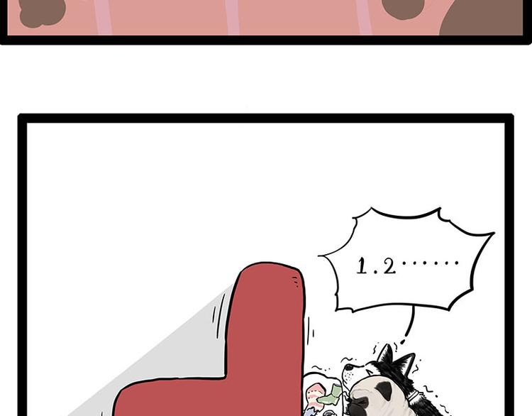 🍘吾皇巴扎黑 第242话 拆的就是你家 第17页