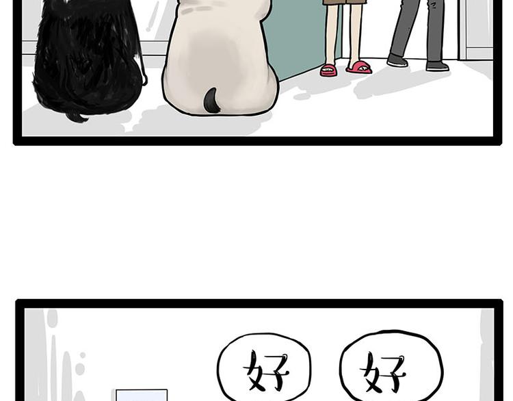 🍘吾皇巴扎黑 第242话 拆的就是你家 第2页