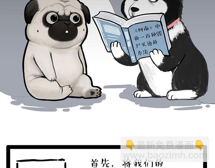 🍘吾皇巴扎黑 第242话 拆的就是你家 第22页