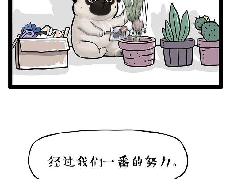 🍘吾皇巴扎黑 第242话 拆的就是你家 第26页