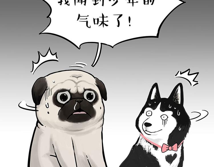 🍘吾皇巴扎黑 第242话 拆的就是你家 第35页