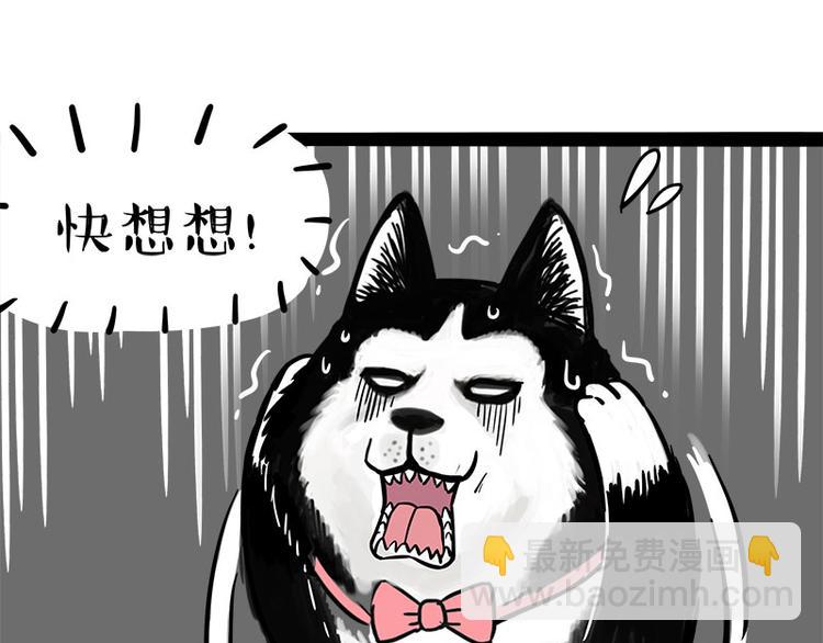 🍘吾皇巴扎黑 第242话 拆的就是你家 第41页