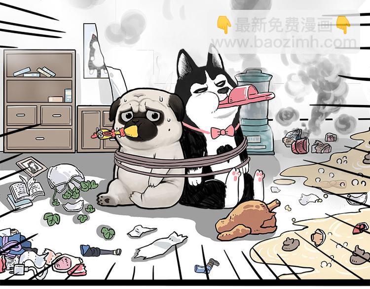 🍘吾皇巴扎黑 第242话 拆的就是你家 第49页