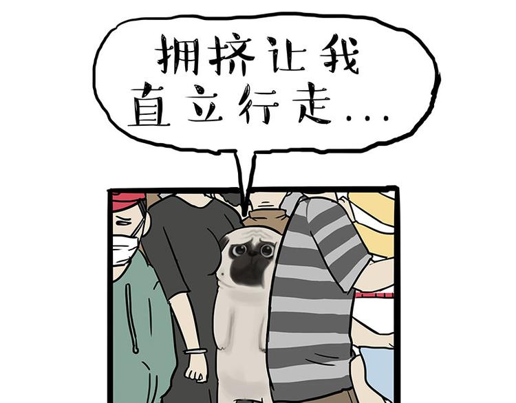 🍘吾皇巴扎黑 第244话 好家伙，黑衣人？ 第10页