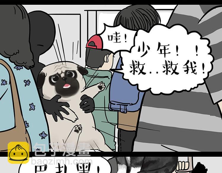 🍘吾皇巴扎黑 第244话 好家伙，黑衣人？ 第12页