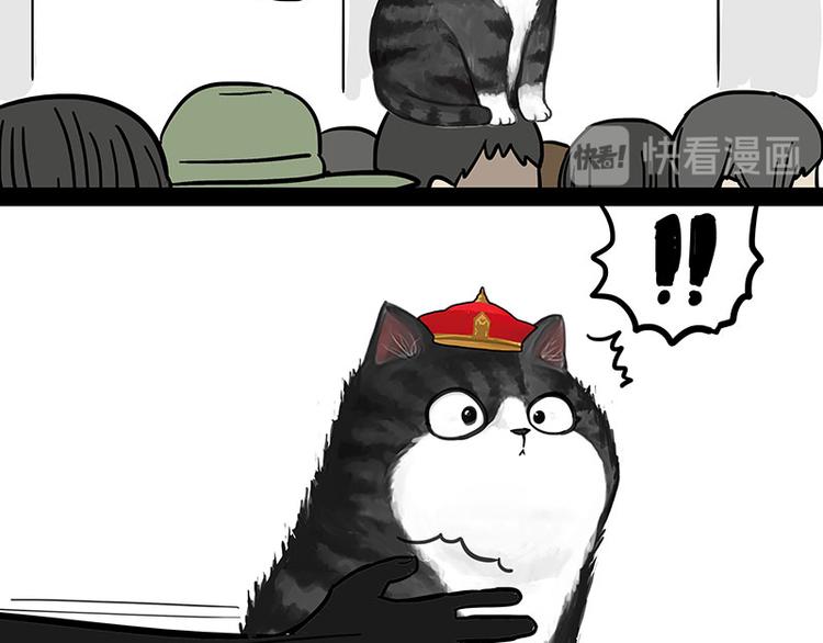 🍘吾皇巴扎黑 第244话 好家伙，黑衣人？ 第14页