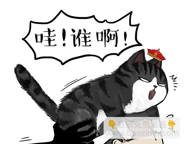🍘吾皇巴扎黑 第244话 好家伙，黑衣人？ 第16页