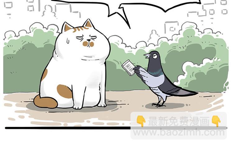 🍘吾皇巴扎黑 第246话 你被踢了 第12页