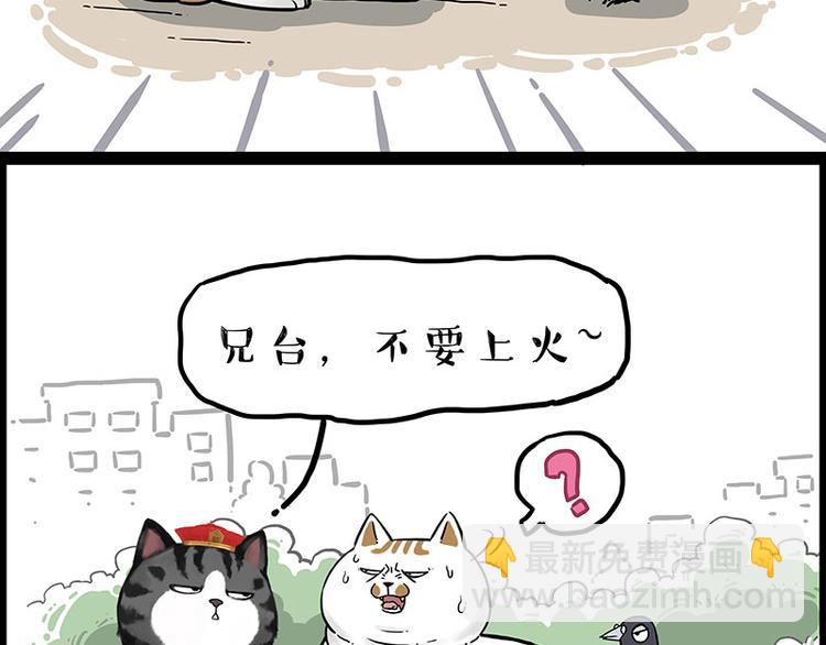 🍘吾皇巴扎黑 第246话 你被踢了 第20页