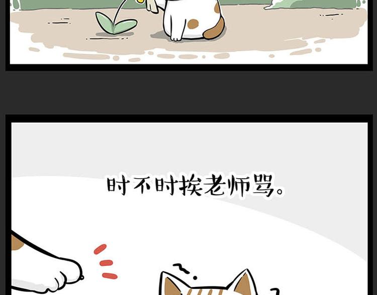 🍘吾皇巴扎黑 第246话 你被踢了 第31页