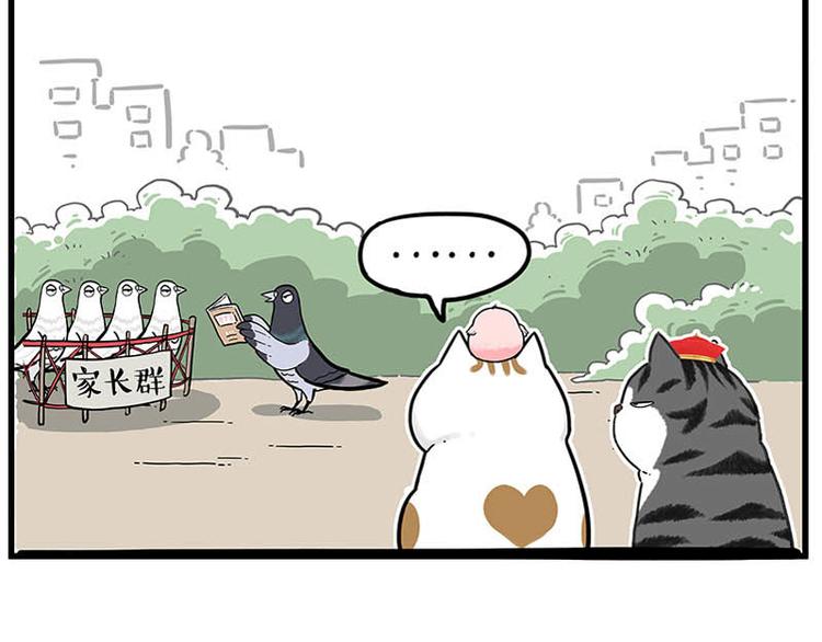 🍘吾皇巴扎黑 第246话 你被踢了 第39页