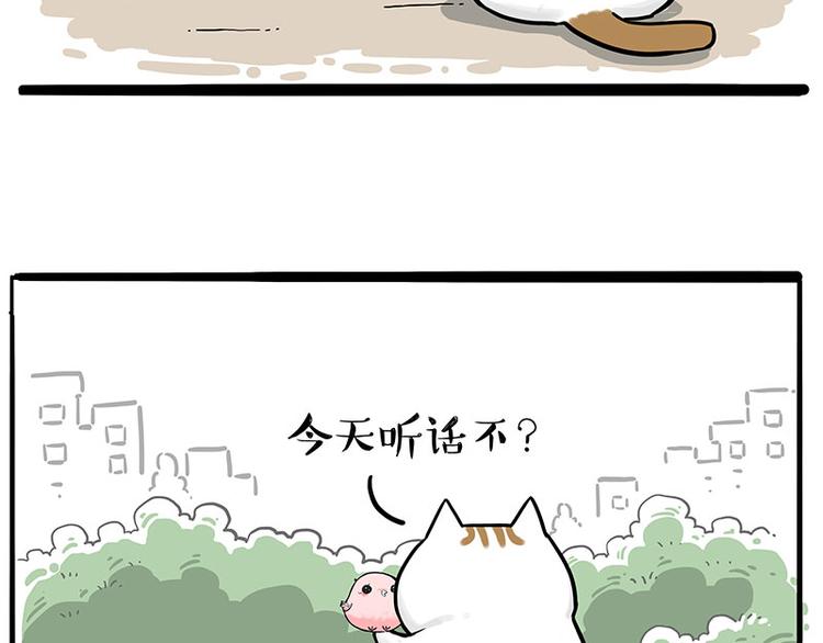 🍘吾皇巴扎黑 第246话 你被踢了 第5页