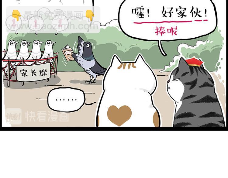 🍘吾皇巴扎黑 第246话 你被踢了 第50页