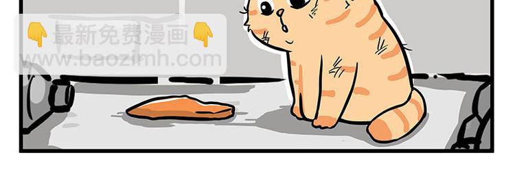 🍘吾皇巴扎黑 第248话 童话是真的 第17页