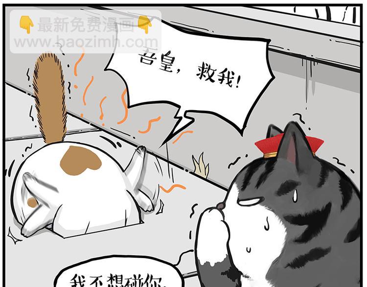 🍘吾皇巴扎黑 第248话 童话是真的 第22页
