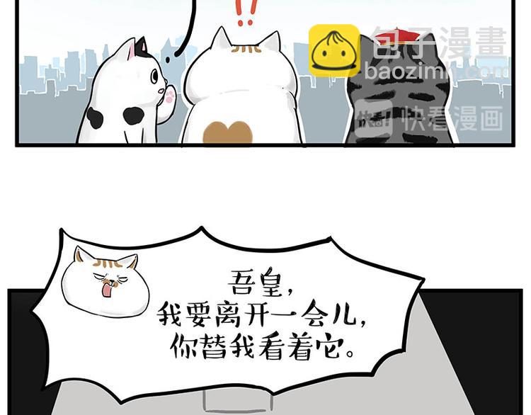 🍘吾皇巴扎黑 第248话 童话是真的 第27页