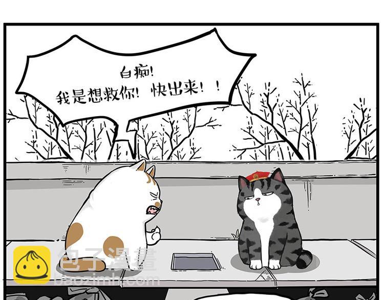 🍘吾皇巴扎黑 第248话 童话是真的 第5页