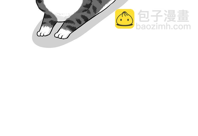🍘吾皇巴扎黑 第250话 不择手段 第17页