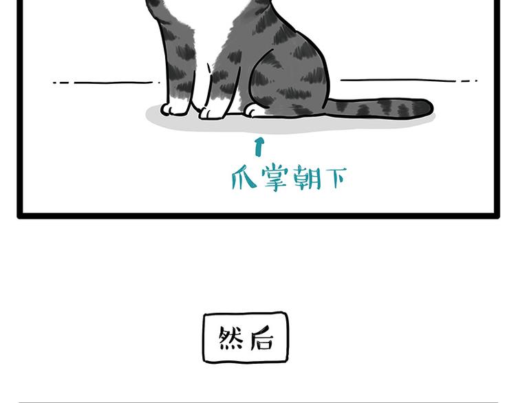 🍘吾皇巴扎黑 第250话 不择手段 第19页