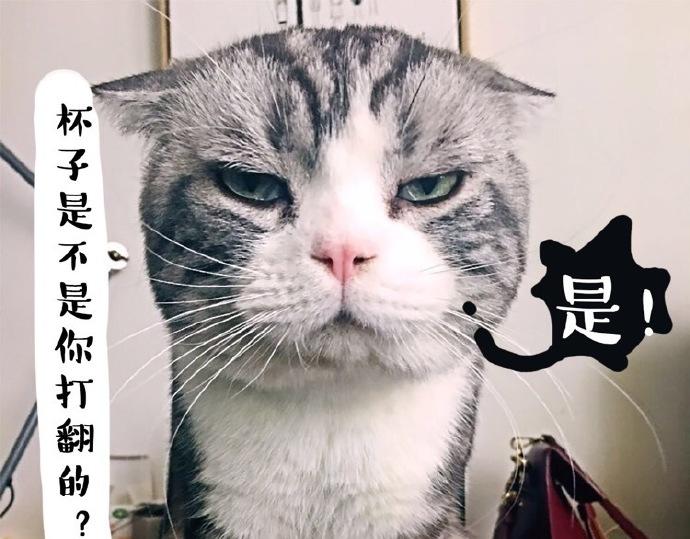 🍘吾皇巴扎黑 第26话 犯错你会卖萌求原谅吗 第1页