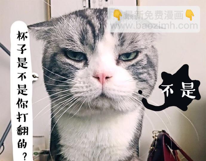 🍘吾皇巴扎黑 第26话 犯错你会卖萌求原谅吗 第10页