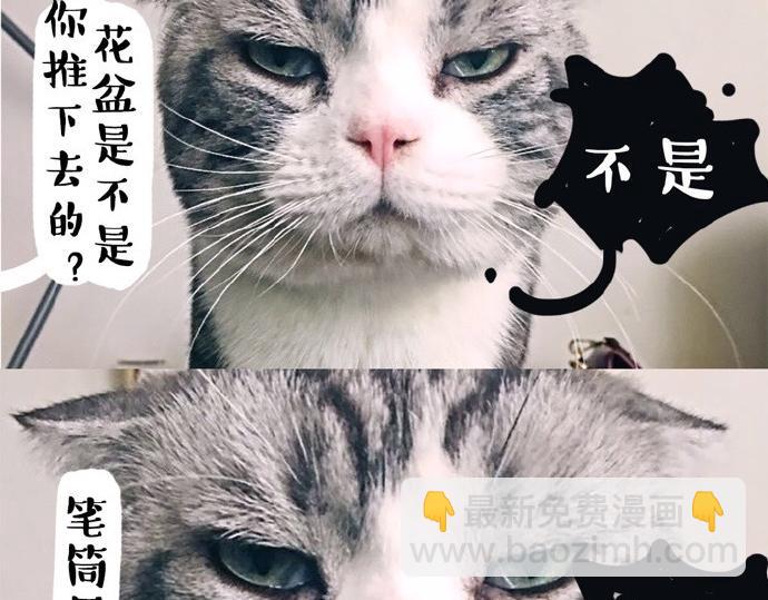 🍘吾皇巴扎黑 第26话 犯错你会卖萌求原谅吗 第13页