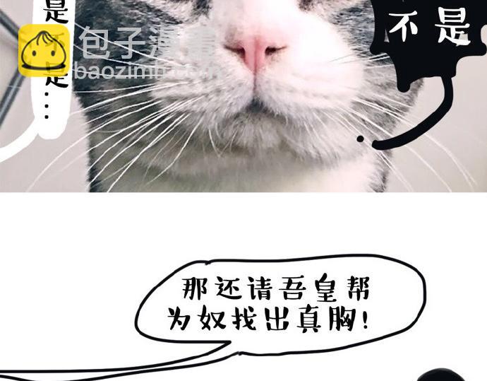 🍘吾皇巴扎黑 第26话 犯错你会卖萌求原谅吗 第14页