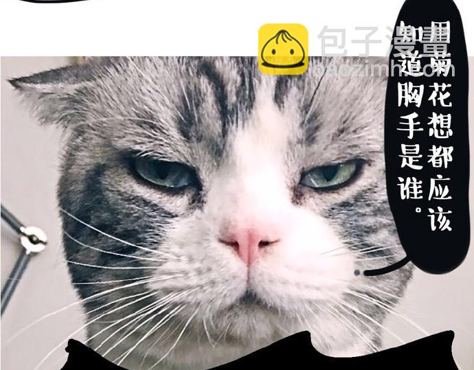 🍘吾皇巴扎黑 第26话 犯错你会卖萌求原谅吗 第15页